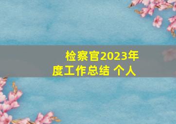 检察官2023年度工作总结 个人